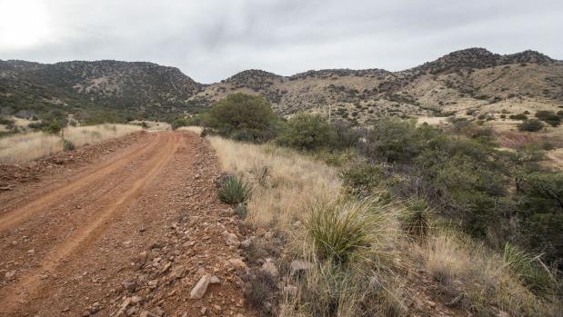 We don't have to wait to decide on Rosemont, says Forest Service